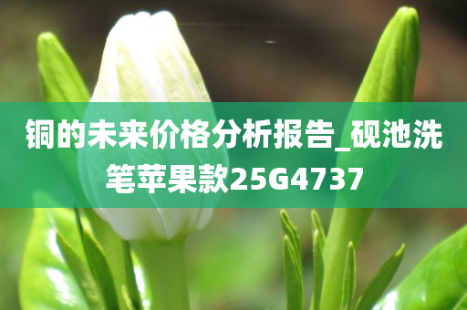 铜的未来价格分析报告_砚池洗笔苹果款25G4737