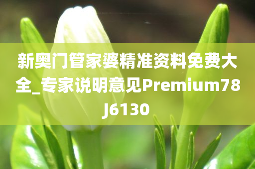 新奥门管家婆精准资料免费大全_专家说明意见Premium78J6130