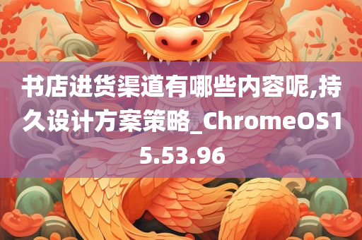 书店进货渠道有哪些内容呢,持久设计方案策略_ChromeOS15.53.96