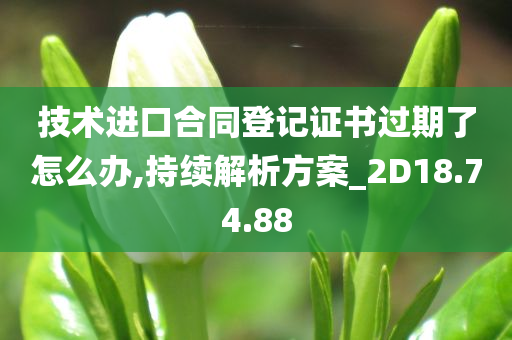 技术进口合同登记证书过期了怎么办,持续解析方案_2D18.74.88