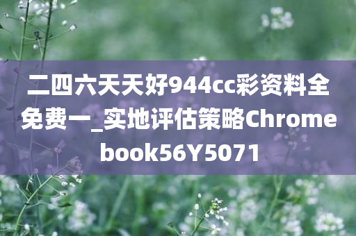 二四六天天好944cc彩资料全免费一_实地评估策略Chromebook56Y5071