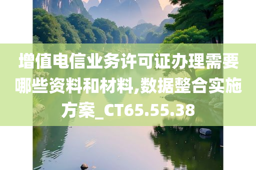 增值电信业务许可证办理需要哪些资料和材料,数据整合实施方案_CT65.55.38