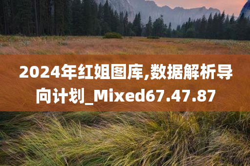 2024年红姐图库,数据解析导向计划_Mixed67.47.87