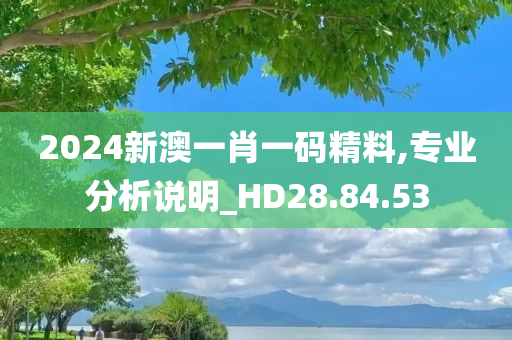 2024新澳一肖一码精料,专业分析说明_HD28.84.53