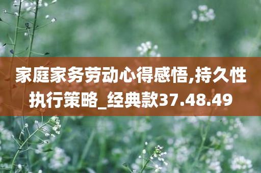 家庭家务劳动心得感悟,持久性执行策略_经典款37.48.49