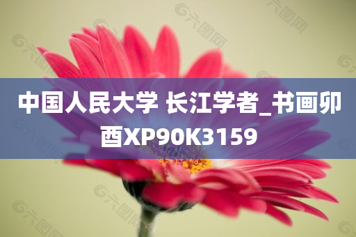 中国人民大学 长江学者_书画卯酉XP90K3159