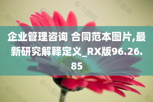 企业管理咨询 合同范本图片,最新研究解释定义_RX版96.26.85