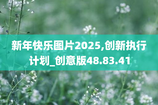 新年快乐图片2025,创新执行计划_创意版48.83.41