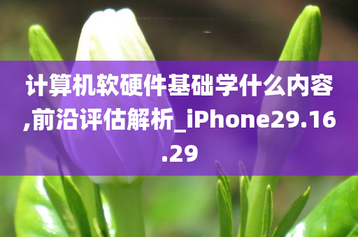 计算机软硬件基础学什么内容,前沿评估解析_iPhone29.16.29