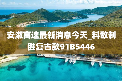 安溆高速最新消息今天_料敌制胜复古款91B5446