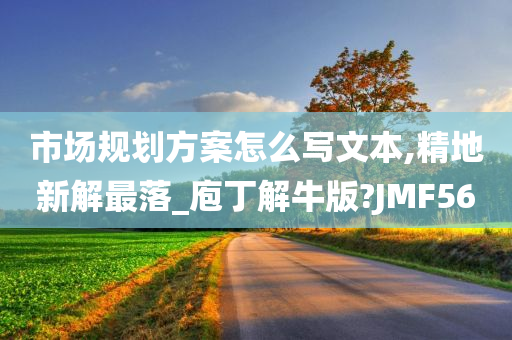 市场规划方案怎么写文本,精地新解最落_庖丁解牛版?JMF56