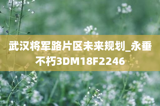 武汉将军路片区未来规划_永垂不朽3DM18F2246