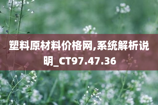 塑料原材料价格网,系统解析说明_CT97.47.36