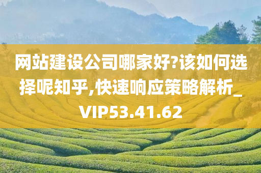 网站建设公司哪家好?该如何选择呢知乎,快速响应策略解析_VIP53.41.62