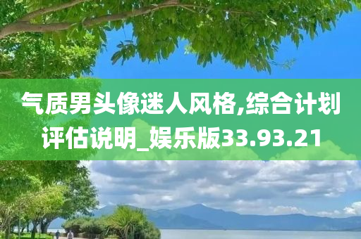 气质男头像迷人风格,综合计划评估说明_娱乐版33.93.21