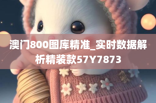 澳门800图库精准_实时数据解析精装款57Y7873