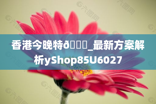 香港今晚特🐎_最新方案解析yShop85U6027