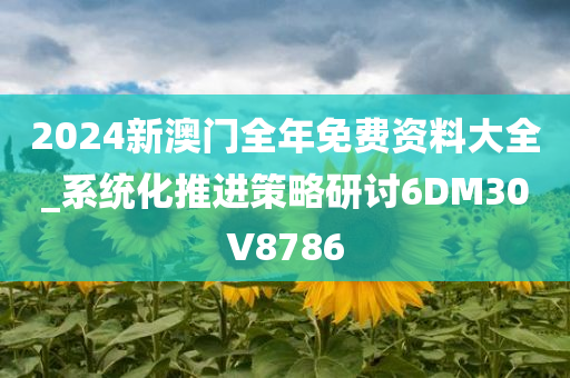 2024新澳门全年免费资料大全_系统化推进策略研讨6DM30V8786