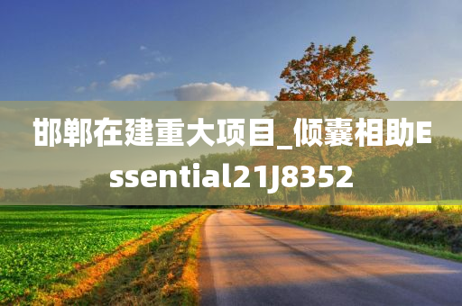 邯郸在建重大项目_倾囊相助Essential21J8352