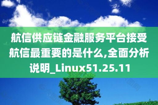 航信供应链金融服务平台接受航信最重要的是什么,全面分析说明_Linux51.25.11