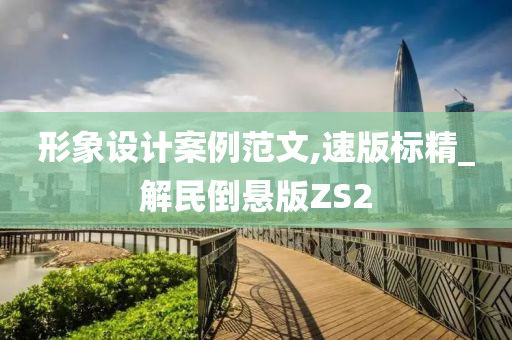 形象设计案例范文,速版标精_解民倒悬版ZS2