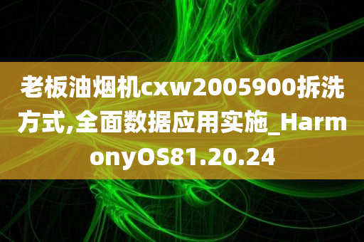 老板油烟机cxw2005900拆洗方式,全面数据应用实施_HarmonyOS81.20.24