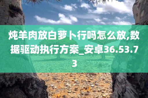 炖羊肉放白萝卜行吗怎么放,数据驱动执行方案_安卓36.53.73