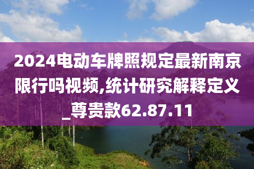 2024电动车牌照规定最新南京限行吗视频,统计研究解释定义_尊贵款62.87.11