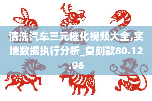 清洗汽车三元催化视频大全,实地数据执行分析_复刻款80.12.96