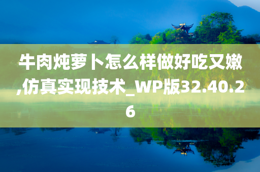 牛肉炖萝卜怎么样做好吃又嫩,仿真实现技术_WP版32.40.26