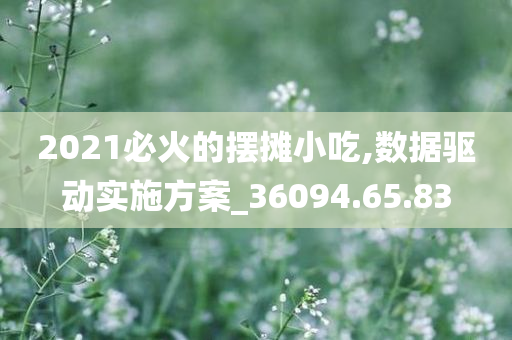 2021必火的摆摊小吃,数据驱动实施方案_36094.65.83