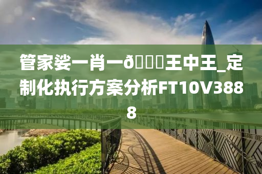 管家娑一肖一🐎王中王_定制化执行方案分析FT10V3888