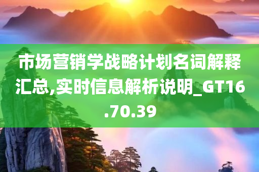 市场营销学战略计划名词解释汇总,实时信息解析说明_GT16.70.39