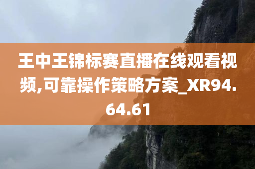 王中王锦标赛直播在线观看视频,可靠操作策略方案_XR94.64.61