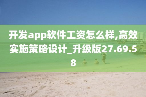 开发app软件工资怎么样,高效实施策略设计_升级版27.69.58