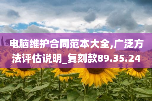 电脑维护合同范本大全,广泛方法评估说明_复刻款89.35.24