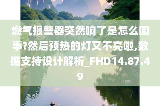 燃气报警器突然响了是怎么回事?然后预热的灯又不亮啦,数据支持设计解析_FHD14.87.49