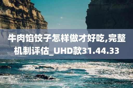 牛肉馅饺子怎样做才好吃,完整机制评估_UHD款31.44.33