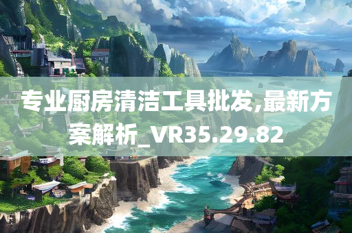 专业厨房清洁工具批发,最新方案解析_VR35.29.82