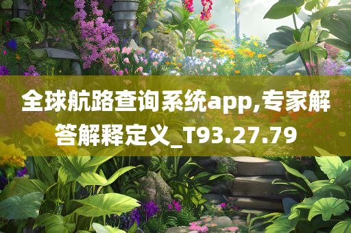 全球航路查询系统app,专家解答解释定义_T93.27.79