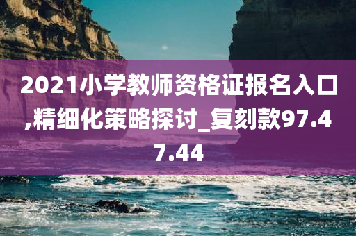 2021小学教师资格证报名入口,精细化策略探讨_复刻款97.47.44