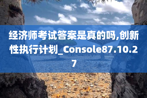 经济师考试答案是真的吗,创新性执行计划_Console87.10.27