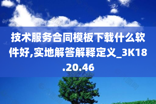 技术服务合同模板下载什么软件好,实地解答解释定义_3K18.20.46