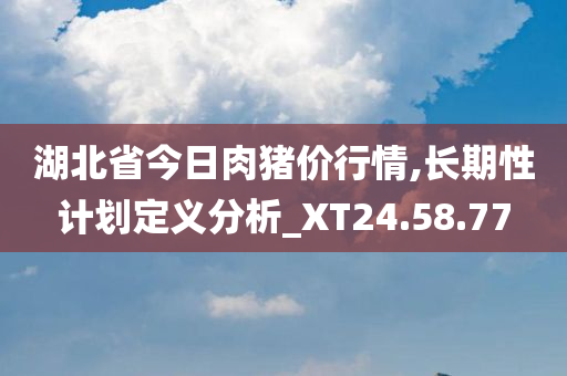 湖北省今日肉猪价行情,长期性计划定义分析_XT24.58.77