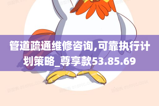 管道疏通维修咨询,可靠执行计划策略_尊享款53.85.69