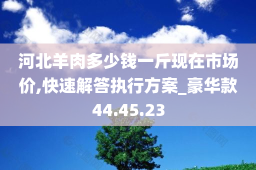 河北羊肉多少钱一斤现在市场价,快速解答执行方案_豪华款44.45.23