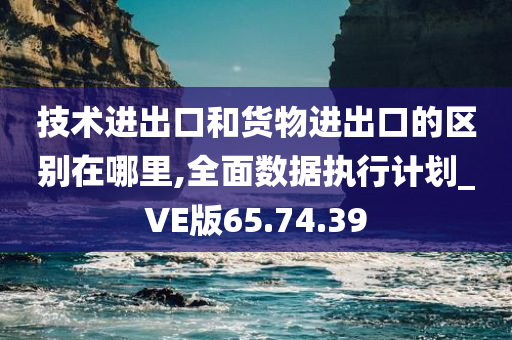 技术进出口和货物进出口的区别在哪里,全面数据执行计划_VE版65.74.39