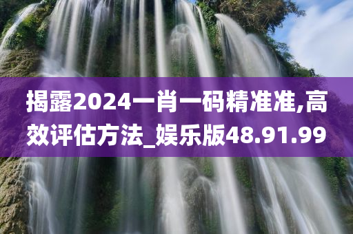 揭露2024一肖一码精准准,高效评估方法_娱乐版48.91.99