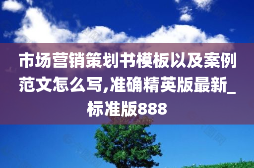 市场营销策划书模板以及案例范文怎么写,准确精英版最新_标准版888