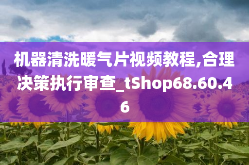 机器清洗暖气片视频教程,合理决策执行审查_tShop68.60.46